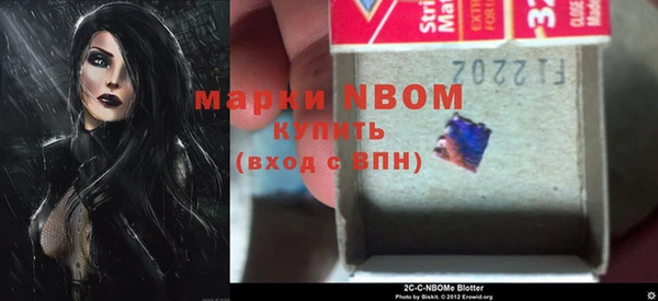 прущие грибы Абаза
