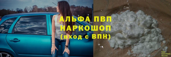 прущие грибы Абаза