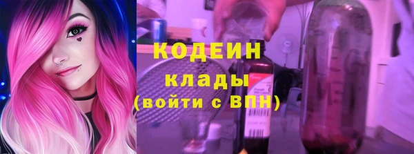прущие грибы Абаза