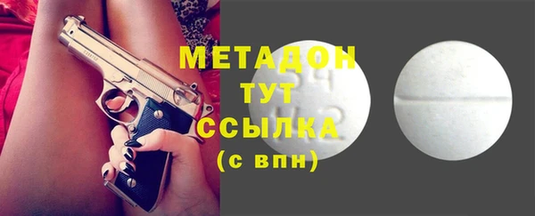 прущие грибы Абаза