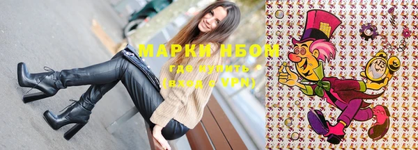прущие грибы Абаза