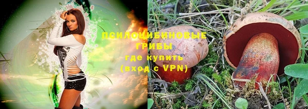 прущие грибы Абаза