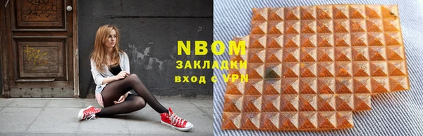 прущие грибы Абаза