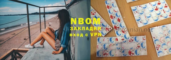 прущие грибы Абаза