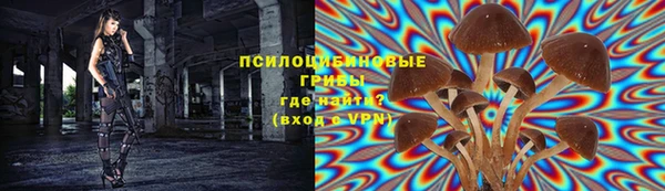 прущие грибы Абаза