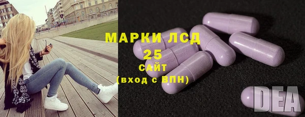 прущие грибы Абаза