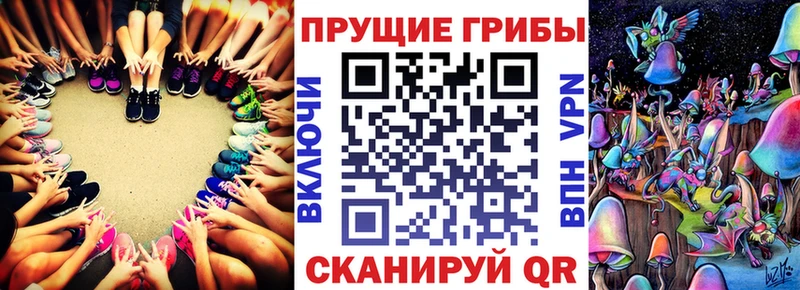 закладка  Новотроицк  Псилоцибиновые грибы MAGIC MUSHROOMS 