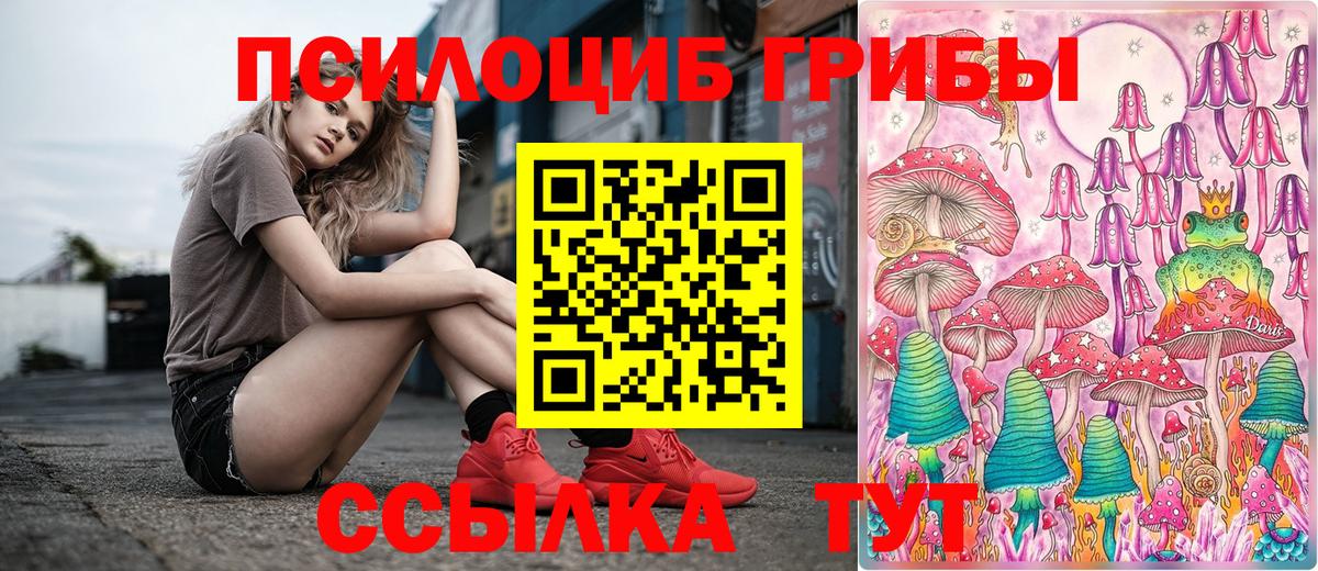 где купить наркоту  Галлюциногенные грибы Psilocybine cubensis  Новотроицк  Вход с VPN  Галлюциногенные грибы Cubensis 