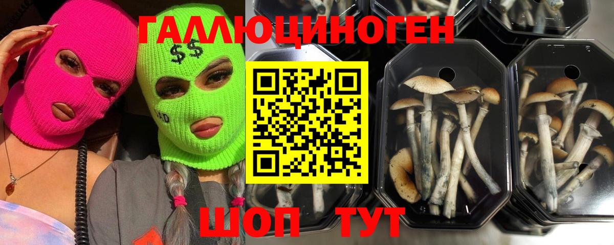Псилоцибиновые грибы мухоморы Новотроицк
